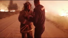 Firefighter rescues baby deer as wildfire burns forest in southern Russia
