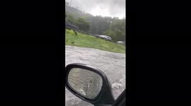 US: Tropical Storm Elsa Moves Up East Coast, Bringing Torrential Rain 6