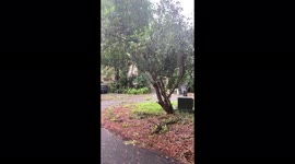 Aftermath of tropical hurricane Elsa at Hilton Head Island, SC, US