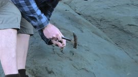 YouTuber discovers 12-million-year-old shark tooth hidden in a cliff