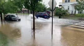 Washington, DC hit with massive flooding
