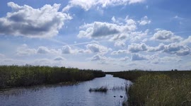 Beautiful 4K video of Florida Everglades from airboat ride