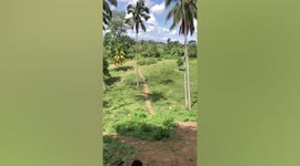 Motorbike rider topples over uphill trail after being chased by dog