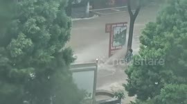 Man holds tree to avoid being washed away by flash floods in China