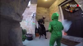'Scaring Neighborhood Kids on Halloween | Try Not to Laugh'