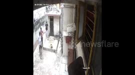 Rare white crow mobbed by other birds rescued in western India