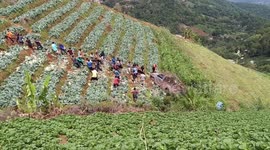 Villagers show great team work to retrieve crashed pick-up truck from steep hill