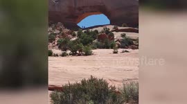 US couple ditch 'normal' life to raise their kids on the road in converted SCHOOL BUS