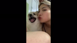 Woman bitten on nose by dog while trying to kiss dog