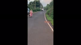 Women keeps her cool even after being followed by a bear in South India