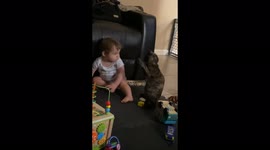 10-month-old baby has his hair brushed by sassy cat in Louisiana