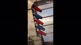 Motorist trapped in car wash films hilarious battle with faulty door