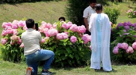 Tourists Footfall Increases, As covid second wave Wanes in Northern India