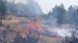Aerial firefighting fleet launched to control the dozen of wildfires ripping through Greece