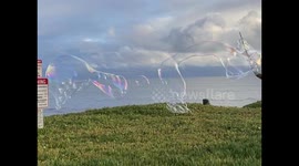 Enormous Bubbles Floating Across the Horizon of the pacific Coast