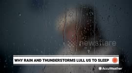 Why rain and thunderstorms lull us to sleep