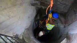 A cat was rescued after two days of plight inside a deep well in South India