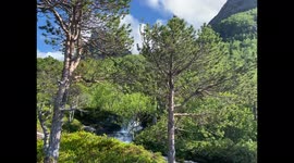 Rushing Waterfalls Down Sunny Mountainside in Northern Norway