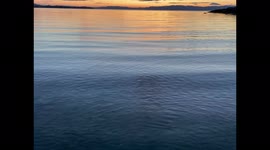 Relaxing, Gentle Lapping Ocean Waves at Sunset in Trondheim Norway