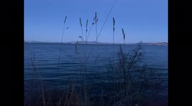 Dark Blue Twilight on Windy Winter Evening Video Pan to Right