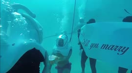 US man proposes to his girlfriend underwater with an engagement ring hidden inside a conch shell