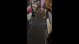 Quirky Flight Attendant