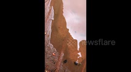 Man finds prehistoric Tadpole Shrimp, revived in Arizona Desert after heavy rain.