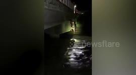Man stuck under bridge during flash flood rescued in the Philippines