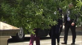 Madam Vice President of the United States Kamala Harris walks from the Eisenhower Executive Office Building to The White House in Washington, D.C. on July 15, 2021