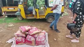 97 lbs of cannabis seized in southern India