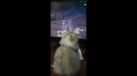 Carla Kitten Interested In Watching Online Games