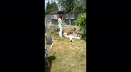 Cash-U the Chihuahua plays with garden hose in the backyard.