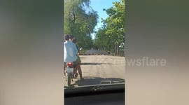 Hundreds of ducks hold up cars while crossing road in Thailand