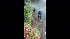 Three meter long python evacuated by firefighters in Indonesia
