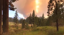Timelapse of Tamarack wildfire burning in California’s Alpine County
