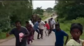 Jumbo's revenge: Angry elephant charges people who tried to chase it away
