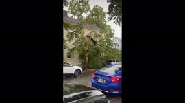 US: Severe Thunderstorm Topples Trees In Newark, NJ