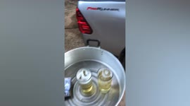Men cool off in DIY pool by pouring water into back of pickup truck