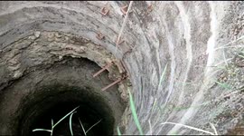 Monkey climbs out of 70-feet-deep well with help of locals in India