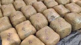 1,984 lbs of cannabis worth $48,056 seized from smugglers in southern India