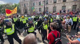 Scuffles between police and anti-lockdown protesters in Whitehall