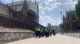 2. Police arrive at London lock-down protest in Parliament Square