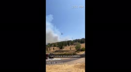US: Brush Fire Breaks Out Near American River Parkway In Sacramento, CA
