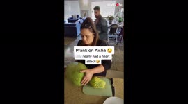 'Fake Snake Scare Prank on Wife *Wait for her Reaction* '