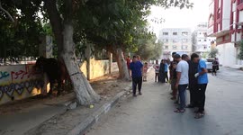 Muslims start offering sacrifices in the Gaza Strip to draw closer to God for the blessed Eid al-Adha