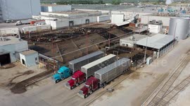 Beef Meat Production Slaughterhouse Drone video