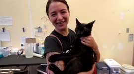 Cat that survived Miami building collapse reunited with family