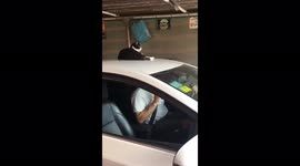 Car drives away with cat on roof in Argentina