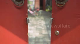 Beijing Hutong, Siheyuan, people living there, flying pigeons, grapes and gourds hanging on vines