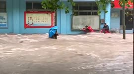 Volunteers rescue woman clinging to tree as rapid floodwater sweeps past in China